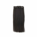 Tape-in Extensions (5 Tape ins to 10 Tape Ins )Straight